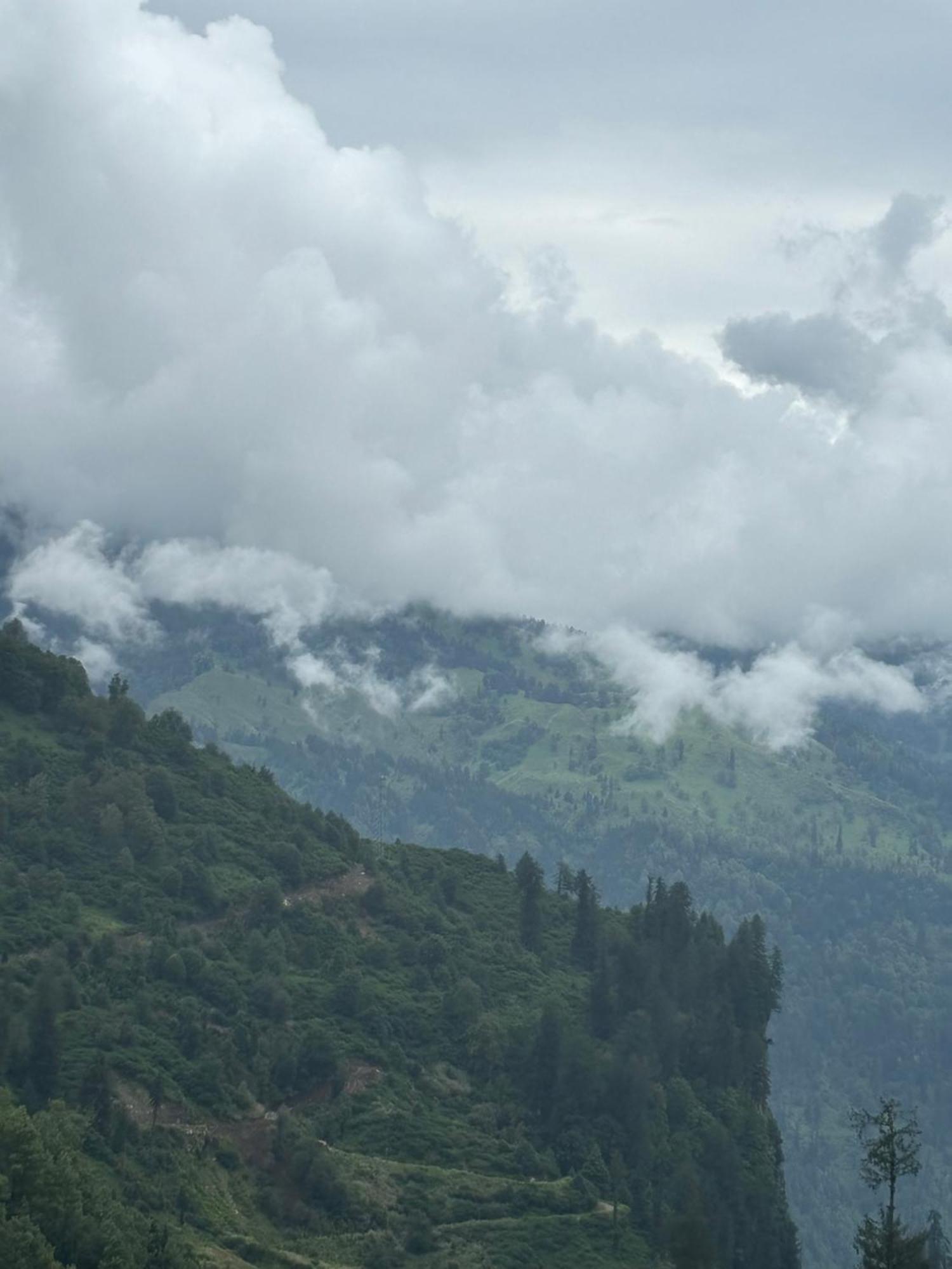 Urban Wave 2Bed Rooms By The North Edge Kasauli Exterior photo